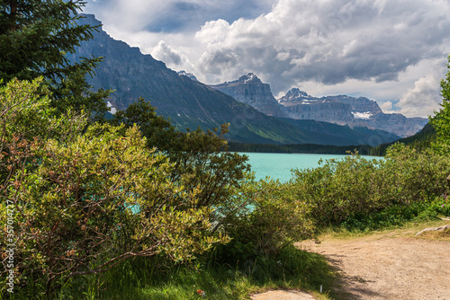 nature sceneries inside jasper national park  alberta  canada