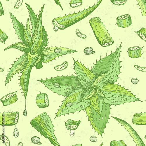 Seamless pattern with hand drawn Aloe vera lives and flower in green and red color isolated on yellow background. Retro vintage engraving graphic design Botanical sketch drawing