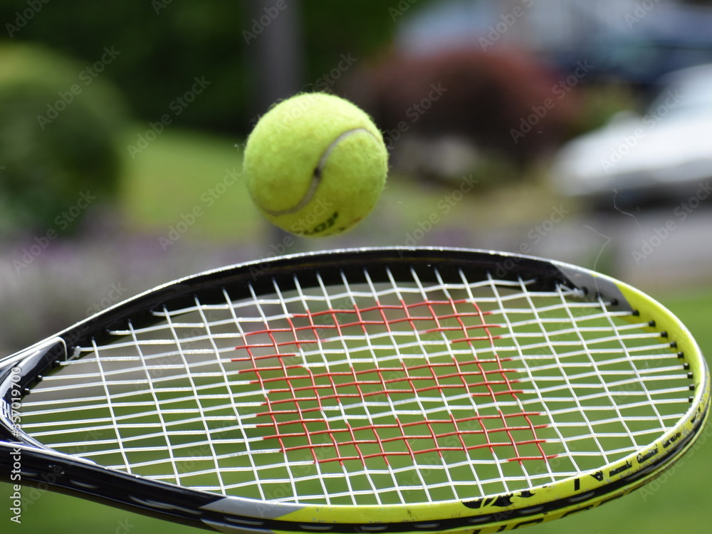 Tennis ball in motion 