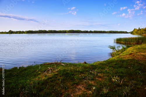 summer landscape with lake