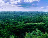 Floresta do Parque Tanguá com uma bela vista