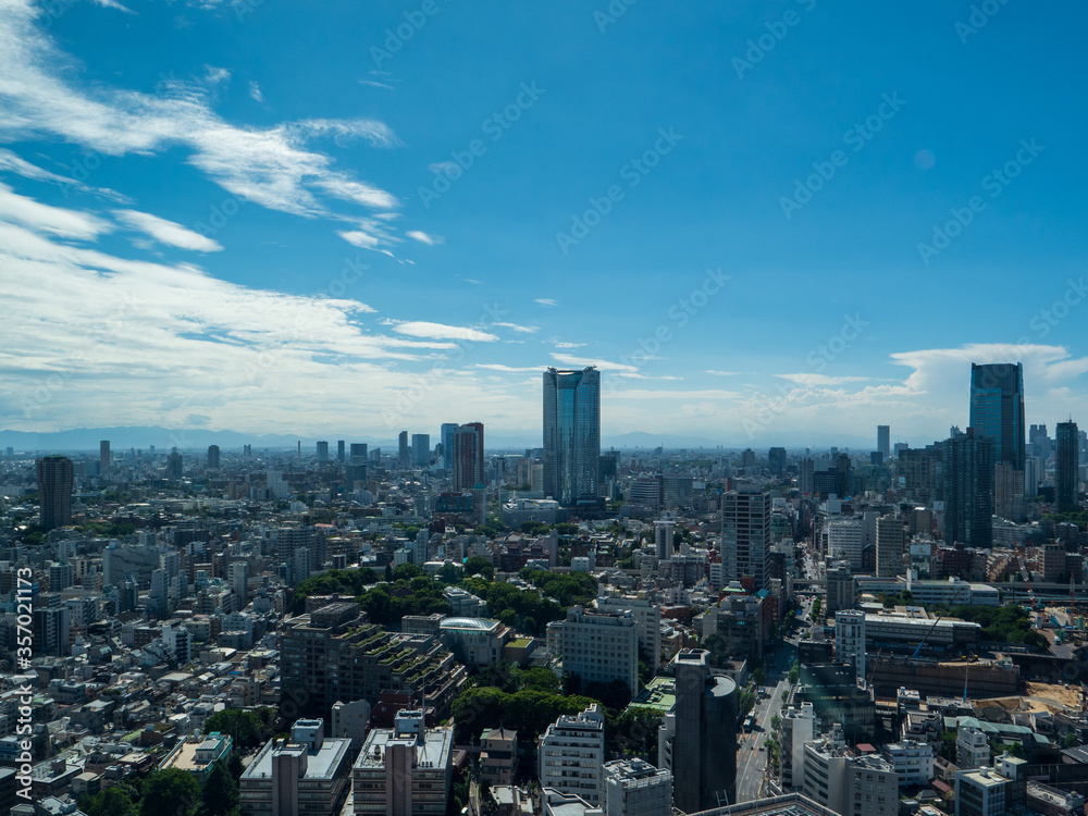 Fototapeta premium Tokyo city skyline