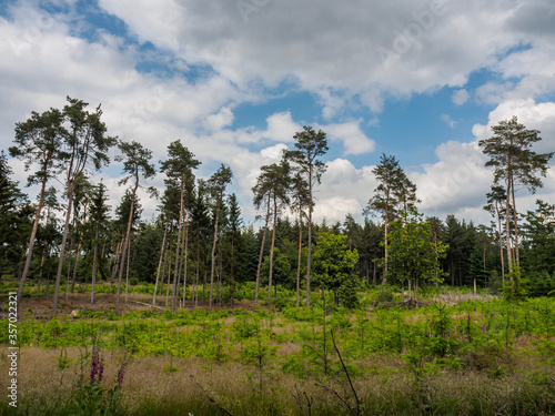 Wandern in der Hohen Mark im Münsterland photo