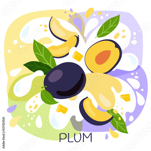 vector illustration of an organic plum milkshake or fruit drink. ripe plum fruits with splash of milk and bright fresh plum juice background. eco concept for a natural plum smoothie label.