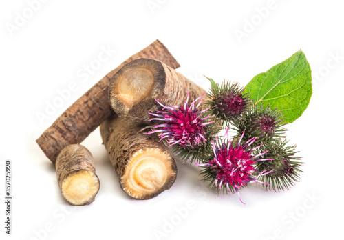 Fototapete Prickly heads of burdock flowers on a white background