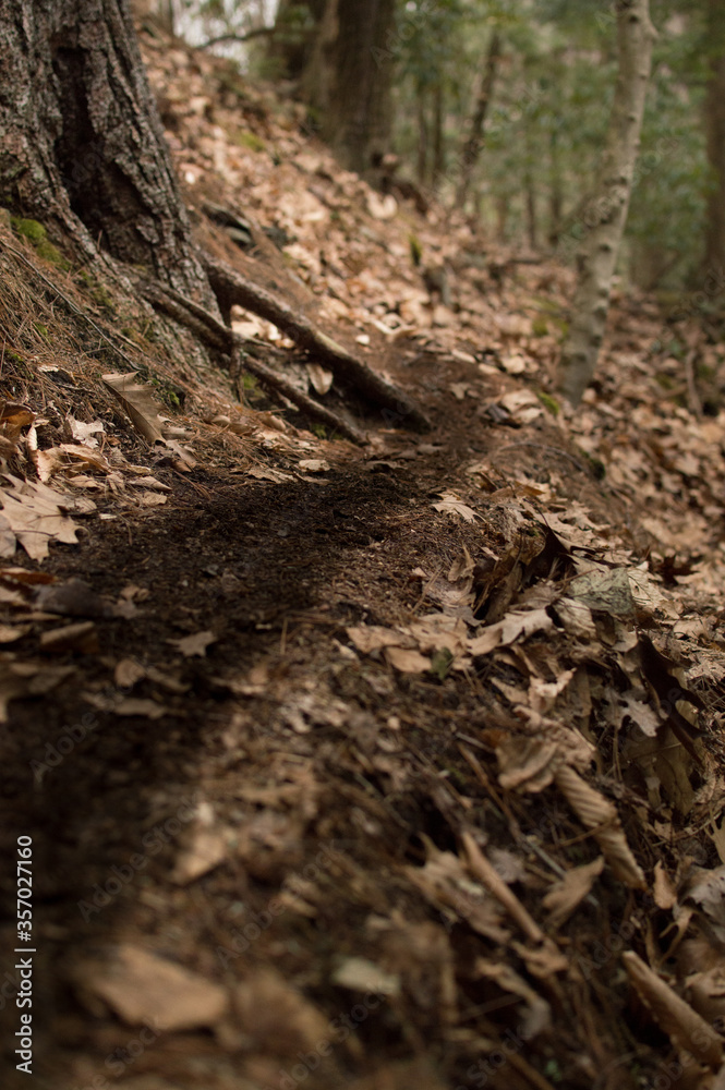 A narrow hiking path on a steep bank A narrow hiking path on a steep bank