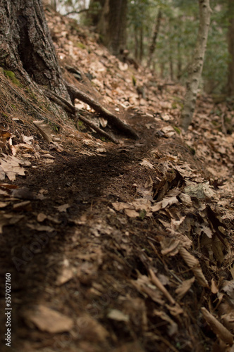 A narrow hiking path on a steep bank