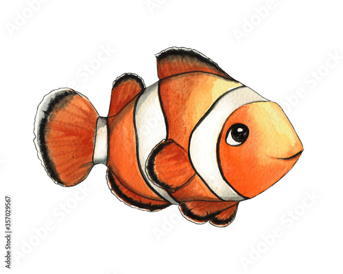 fish, animal, sea, vector, illustration, icon, ocean, isolated, water, design, nature, background, wildlife, aquatic, marine, white, life, fishing, element, underwater, object, cute, seafood, set, riv