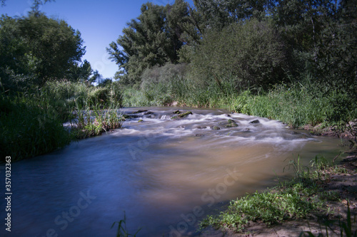 rzeka woda natura drzewa ziele  