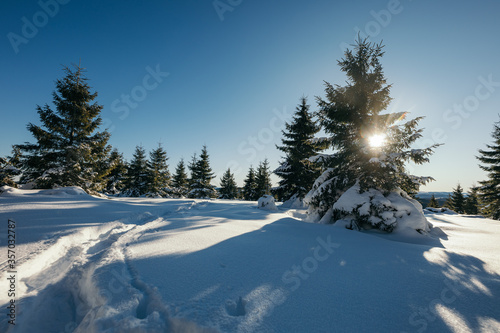 A close up of a snow covered slope