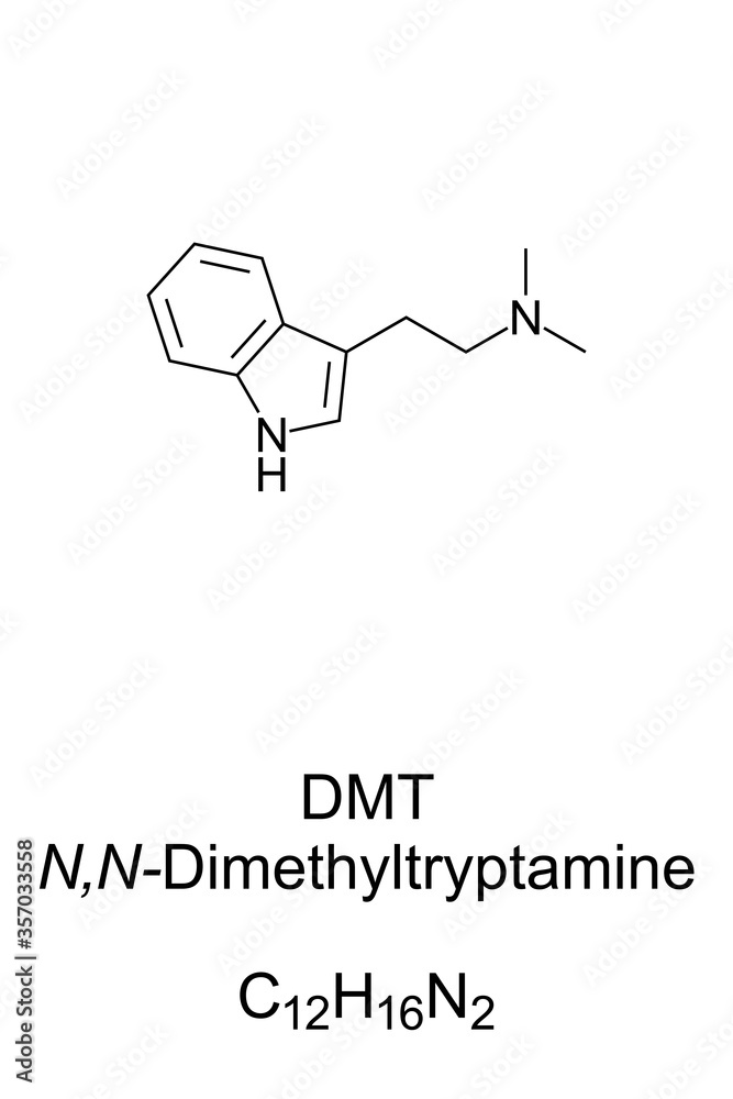 DMT, skeletal formula and structure. N,N-Dimethyltryptamine, a chemical substance and psychedelic drug in various cultures for ritual purposes as an entheogen. Structural formula. Illustration. Vector