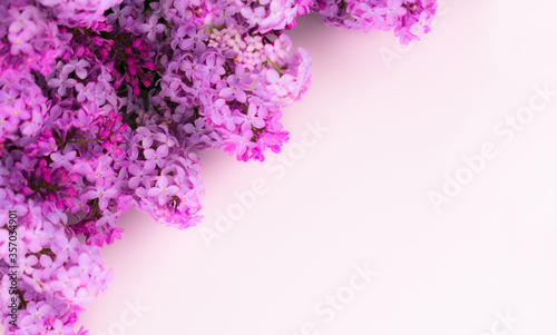 Lilac flowers on a white background. Copy space.