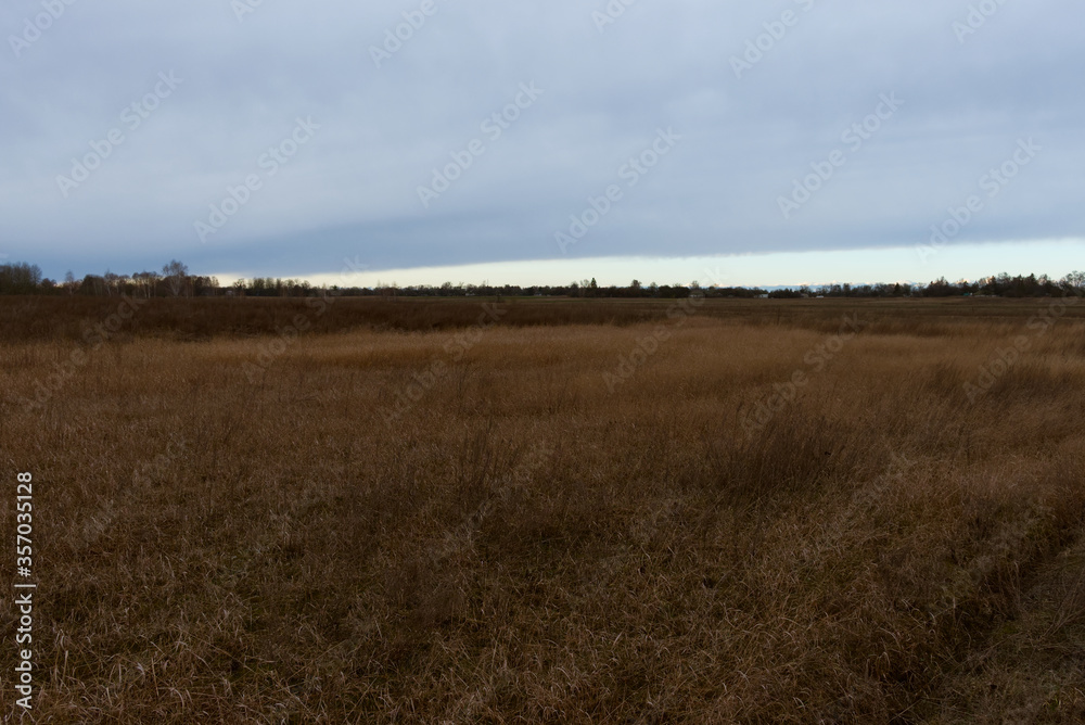 Wilted steppe grasses. Cloudy steppe landscape in the evening. Wilted steppe grasses. Cloudy steppe landscape in the evening.