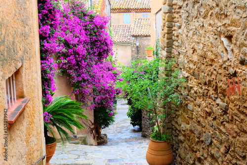 Street in Bormes les Mimosas, France photo