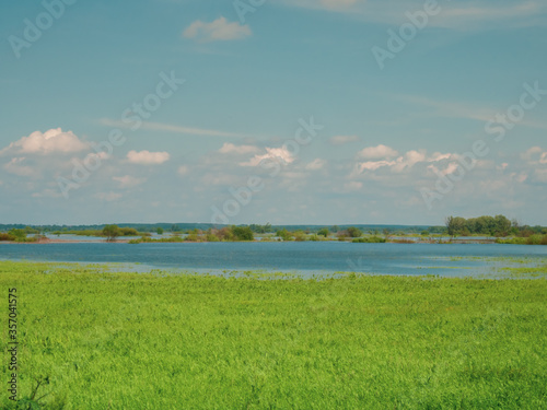 River spills in the spring. view from the high bank