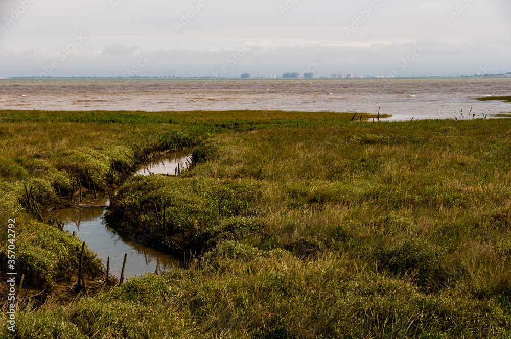 Two tree island, Essex.
