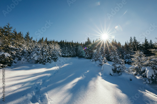 Fototapeta Naklejka Na Ścianę i Meble -  A snow covered road travel