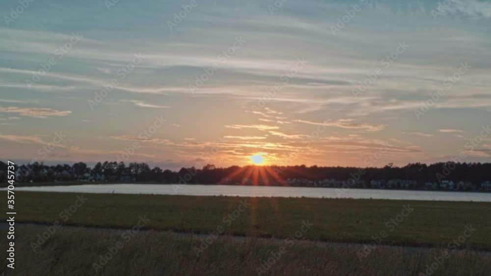 Geese at edge of lake against a sunset behind tree line in background Geese at edge of lake against a sunset behind tree line in background