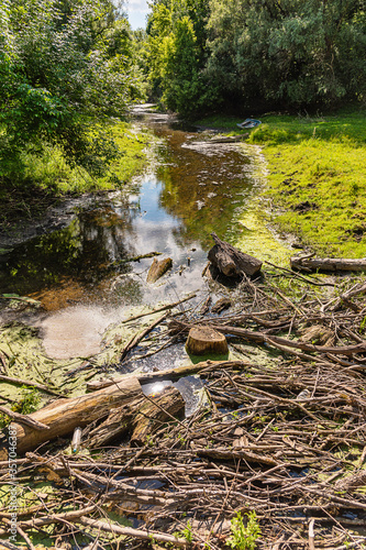 Konstfotografi A mass of logs and debris blocking part of a river