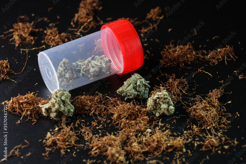 custom made wallpaper toronto digitalSmall box full of cannabis and tobacco on a black background. Marijuana legalization. Medical cannabis. Drug addiction.