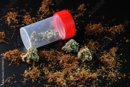 Wallpaper Mural Small box full of cannabis and tobacco on a black background.  Marijuana legalization. Medical cannabis. Drug addiction.  Torontodigital.ca