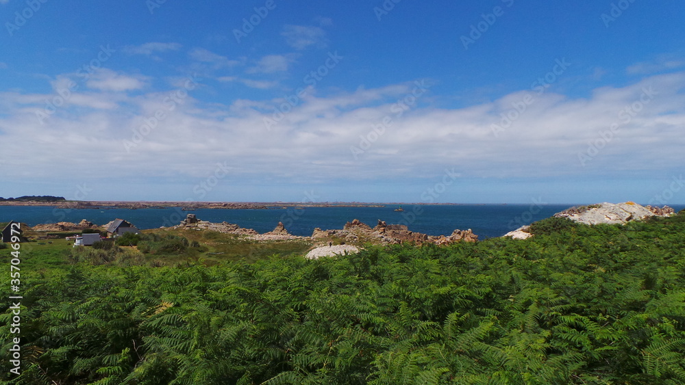 Végétation, océan, rochers - Bretagne