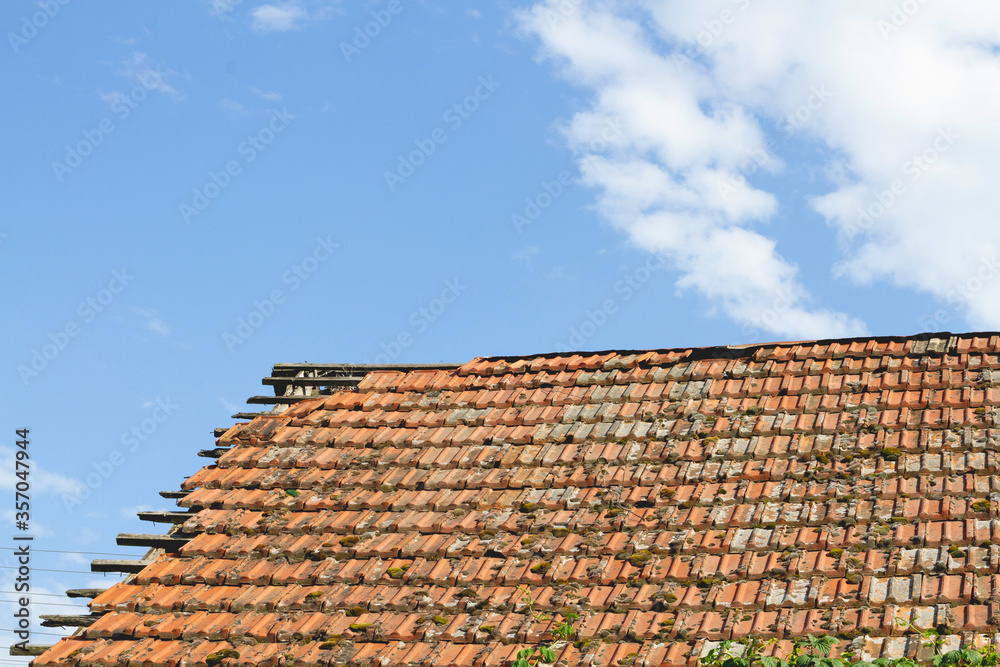 the dilapidated tile roof of the old house, overgrown with moss, with a climbing plant on the edge of the roof