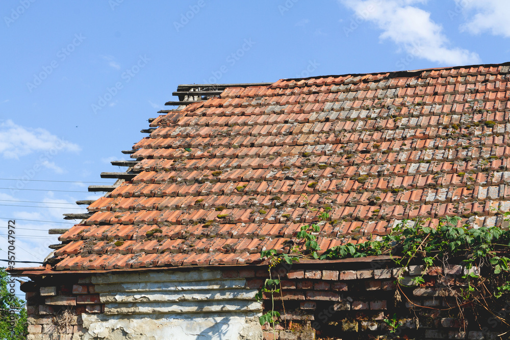 the dilapidated tile roof of the old house, overgrown with moss, with a climbing plant on the edge of the roof
