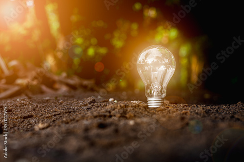 light bulb growth from the ground. - New idea and innovation concept.