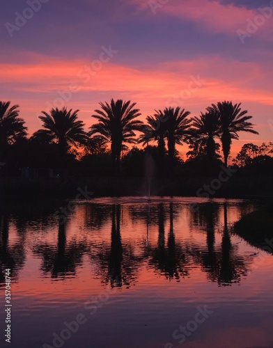 Palm Tree Sunset (Orlando, FL)