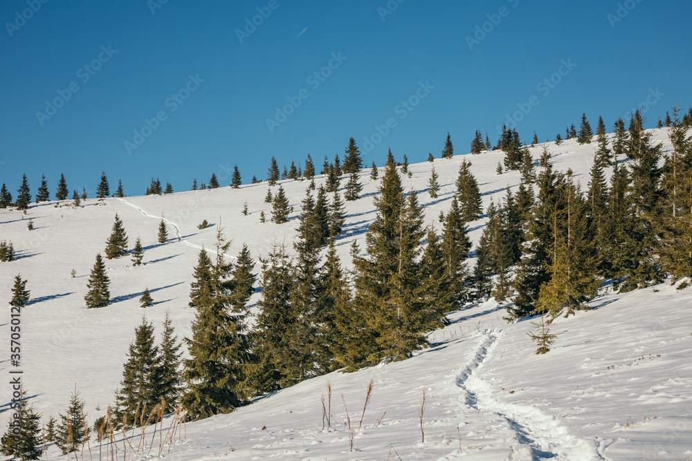 A man flying through the air on a snow covered slope