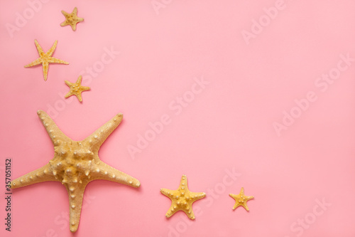 Summer Flat Lay concept. Sea stars on the pink background. Summer top views concept with copy space. 