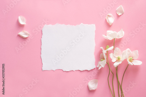 Mockup white anemones on pink background © Alusha