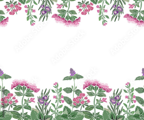 Vector floral seamless border with flowers and culinary spicy herbs.  Rosemary, thyme, mint, oregano, melissa (sweet-Mary) with stems, branches, leaves and flowers. Herb isolated on white background. 