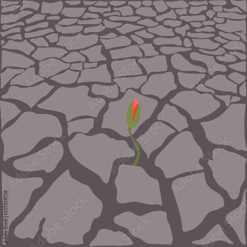 Poppy flower bud between the stones. Designed for decor, poster, cover, postcard, background

