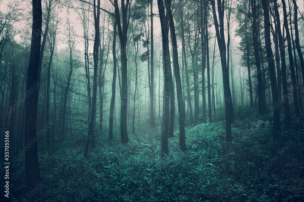 Grunge textured dark green foggy forest landscape.