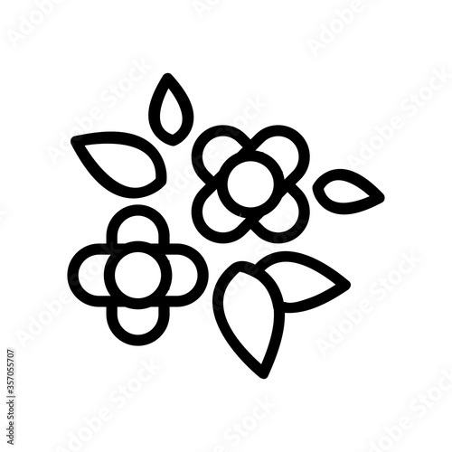 canola flowers buds icon vector. canola flowers buds sign. isolated contour symbol illustration