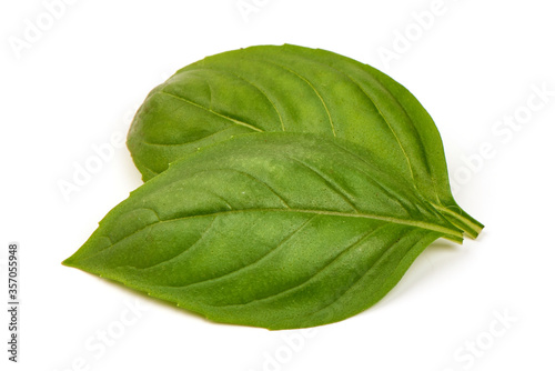 Fresh basil leaves, isolated on white background