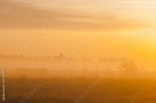 Misty dawn in the field. The fog and the clearing are illuminated by the morning sun.