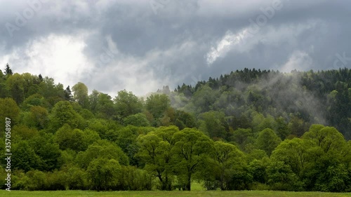 Outstanding panoramic view of Carpathian forest and mountains Bieszczady Poland.