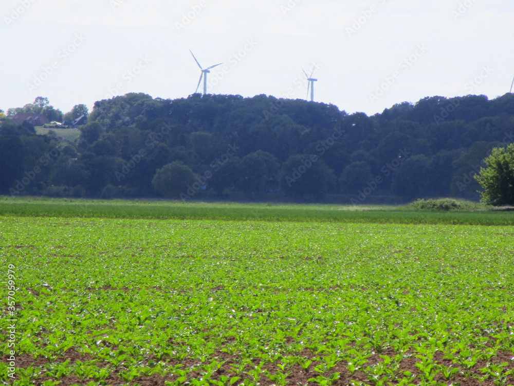 windmill in the field windmill in the field