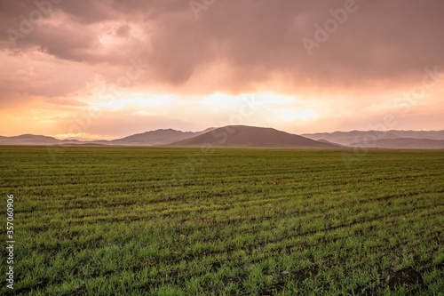 Sunset with mountains and field