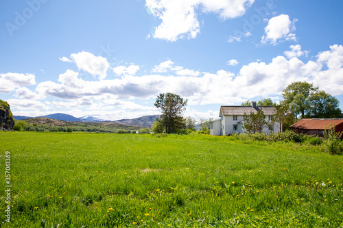 Fototapeta Naklejka Na Ścianę i Meble -  On the farmland in Northern Norway a beautiful summer day