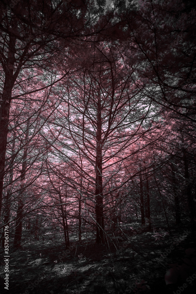 The Unseen World of IR