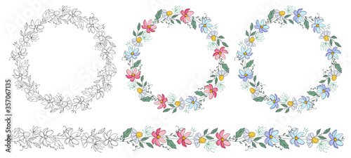 wildflowers seamless brush set. isolated on white background. colored and contour flowers. round frame of flowers.