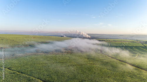 Sugarcane field at sunrise. Aerial view or top view of Sugarcane or agriculture in Brazil.