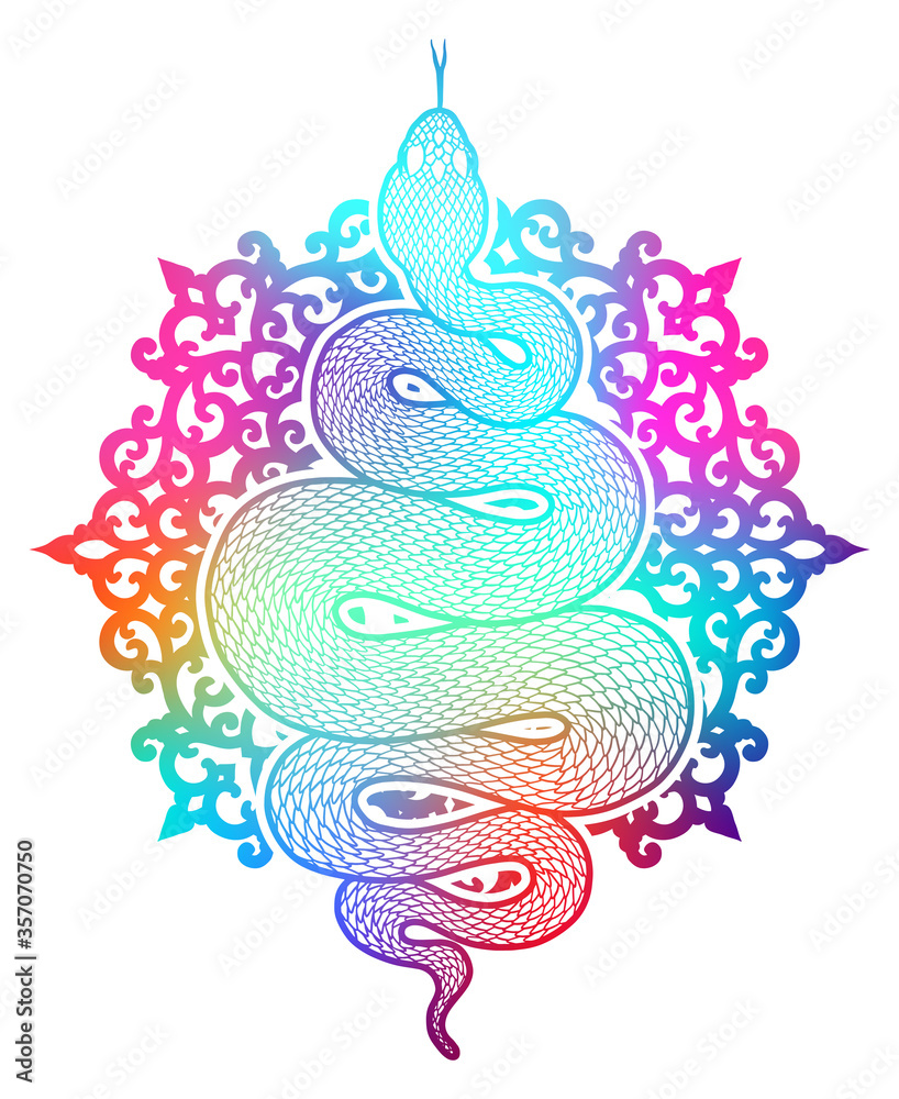 Obraz premium Coiled snake detailed illustration