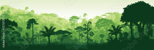 Vector horizontal tropical rainforest Jungle background