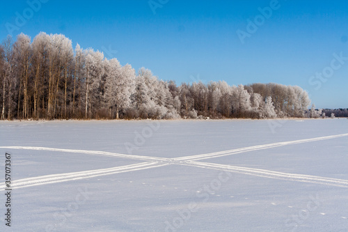 Snowy field with traces, trees at winter
