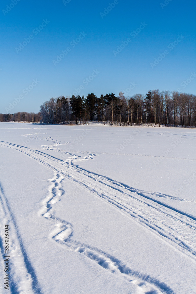Obraz premium Snowy field with traces, trees at winter